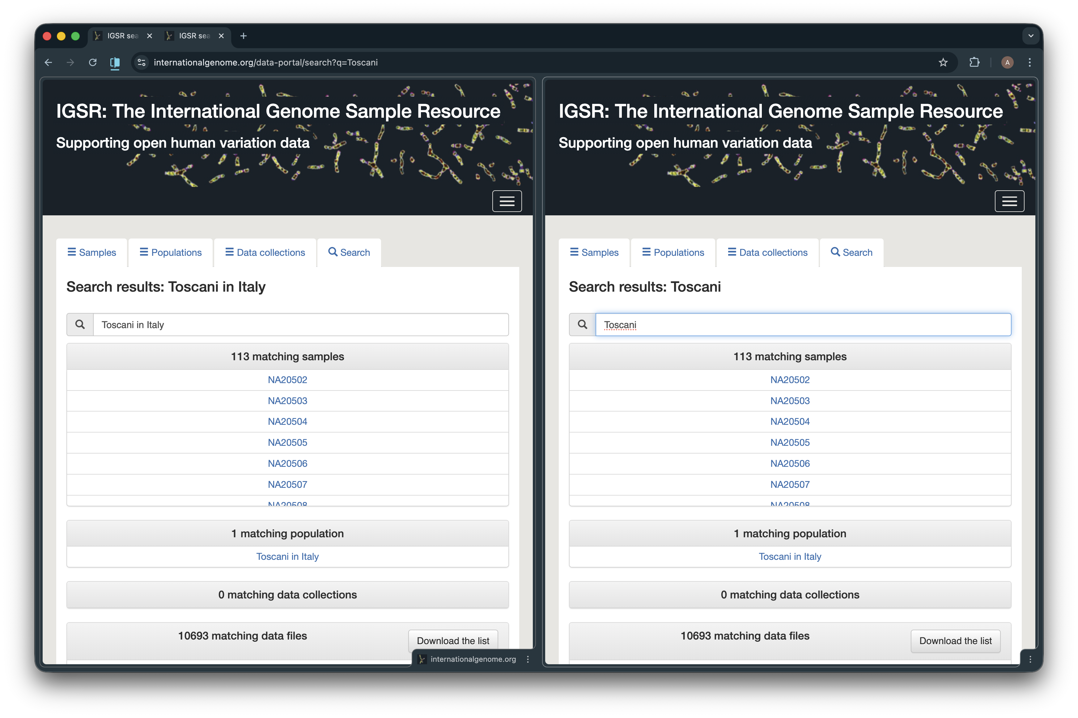 Search bar improvement example - "Toscani in Italy"/"Toscani"