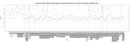 Ankylosing spondylitis on ERC