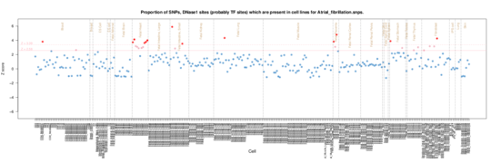 Atrial Fibrillation on ERC