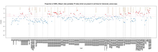 Colorectal cancer on ERC