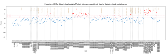 Dialysis-related mortality on ERC