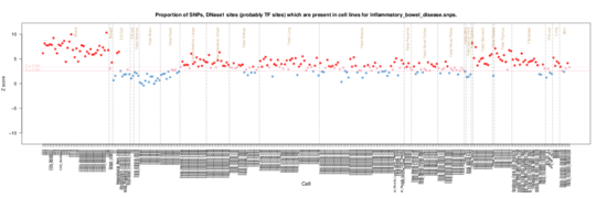 Inflammatory bowel disease on ERC