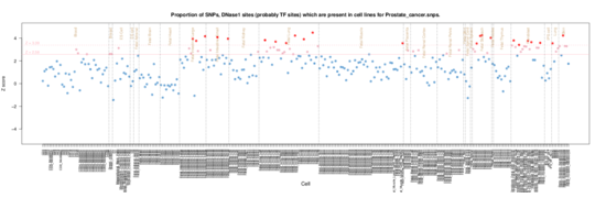 Prostate cancer on ERC