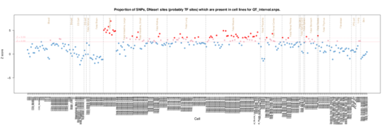 QT interval on ERC