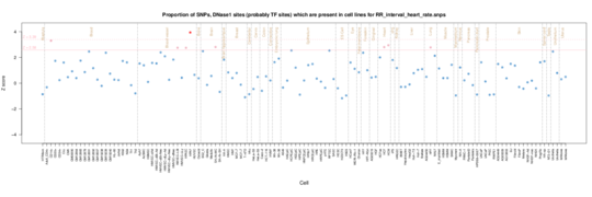 RR interval on ENCODE