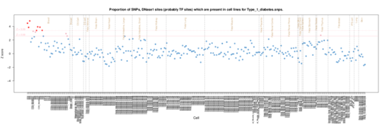 Type 1 diabetes on ERC