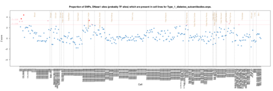 Type 1 diabetes auto on ERC