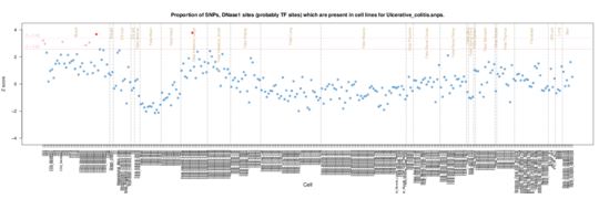 Ulcerative colitis on ERC
