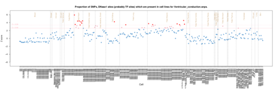 Ventricular Conduction ERC
