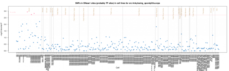 Ankylosing spondylitis on ERC