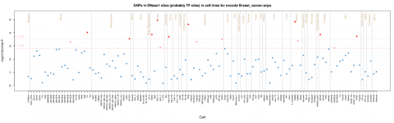 Breast cancer ENCODE