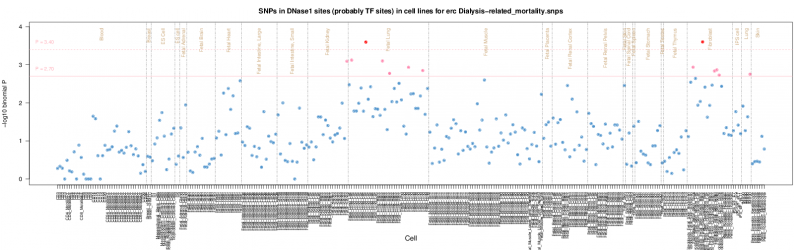 Dialysis-related mortality ERC