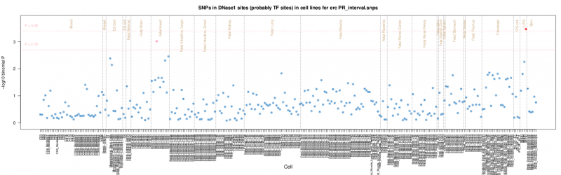 PR interval ERC