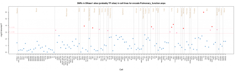 Pulmonary function ENCODE