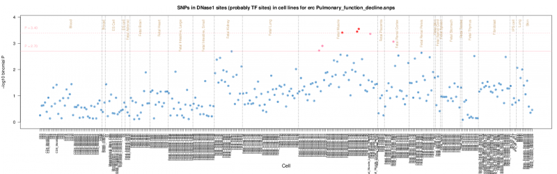 Pulmonary function decline ERC