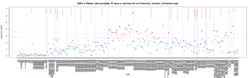 Pulmonary function interaction ERC