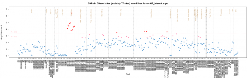 QT interval ERC