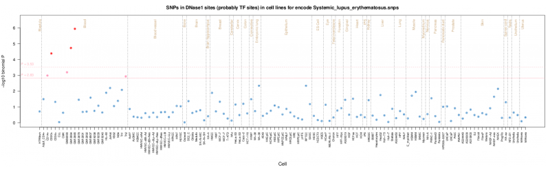 Systemic lupus erythematosus ENCODE