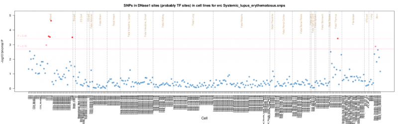 Systemic lupus erythematosus ERC