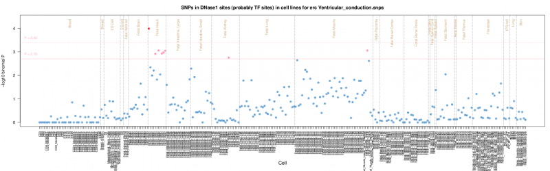 Ventricular conduction ERC